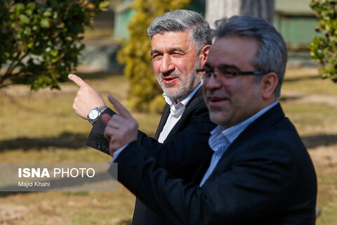 در حاشیه حاشیه جلسه هیات دولت - ۸ بهمن