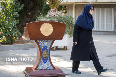 در حاشیه حاشیه جلسه هیات دولت - ۸ بهمن