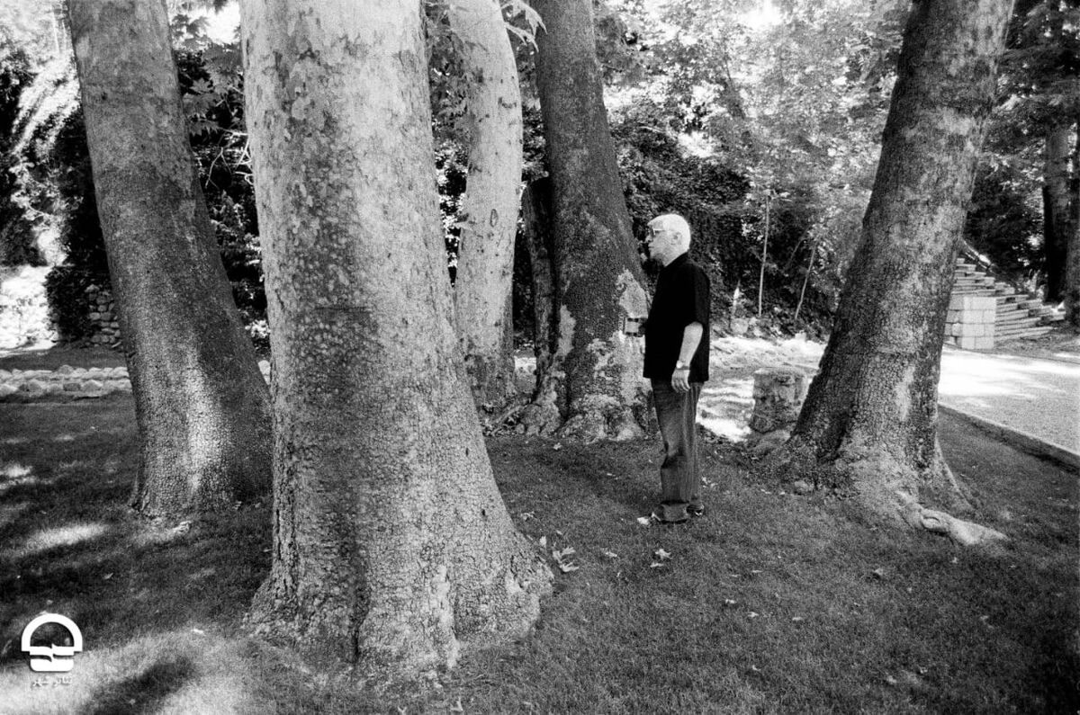 کاشت درخت «افرا» به یاد بهرام بیضایی