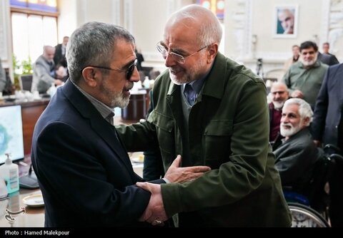 دیدار جمعی از جانبازان و ایثارگران با رئیس مجلس