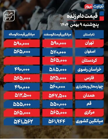 قیمت دام زنده اعلام شد/ بازار امروز افزایشی است یا کاهشی+ جدول