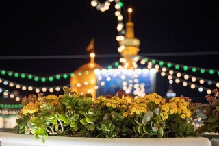 برگزاری ویژه برنامه «اسوه جوانی» همزمان با میلاد حضرت علی اکبر (ع) در حرم مطهر