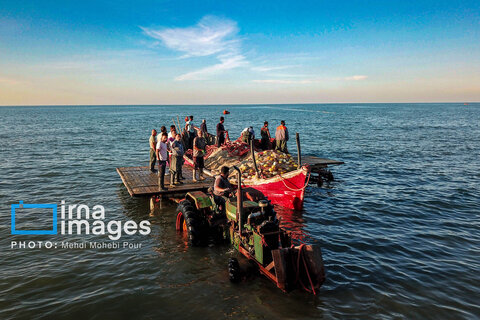 صید ماهی در خزر