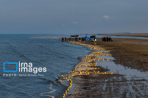 صید ماهی در خزر