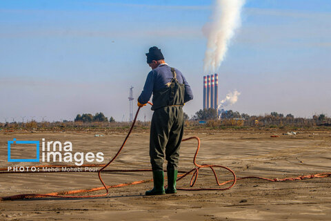 صید ماهی در خزر