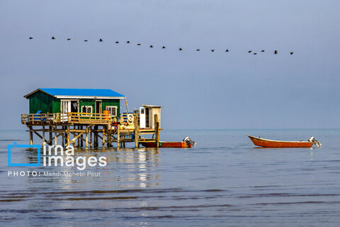 صید ماهی در خزر