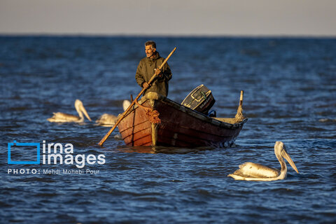 صید ماهی در خزر