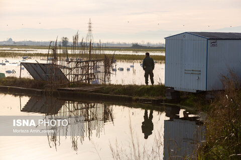 وقتی تالاب‌ می‌میرد...