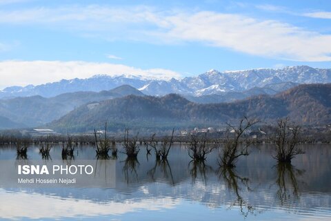 وقتی تالاب‌ می‌میرد...