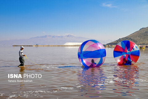 وقتی تالاب‌ می‌میرد...