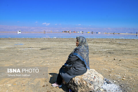 وقتی تالاب‌ می‌میرد...