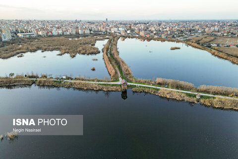 وقتی تالاب‌ می‌میرد...