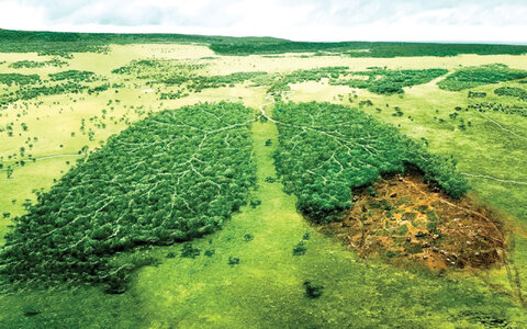 نفس‌گیری ریه‌های هیرکانی با طرح تنفس