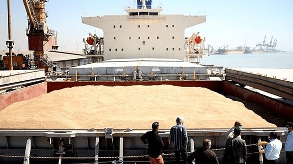 پهلوگیری کشتی حامل ۵۶ هزار تن گندم در بندر امام خمینی