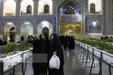 گزارش تصویری | حرم مطهر رضوی در شب نیمه شعبان