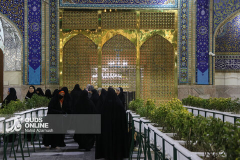 گزارش تصویری | حرم مطهر رضوی در شب نیمه شعبان