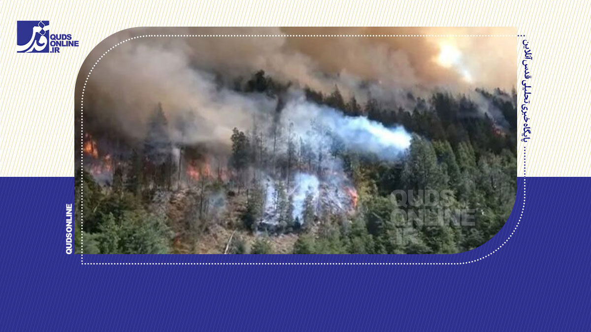 فیلم | آتش‌سوزی گسترده در آرژانتین