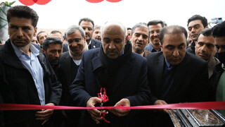 سفر وزیر کار به استان خراسان رضوی