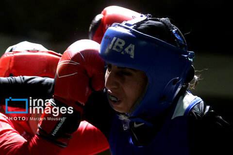 مسابقات بوکس دختران