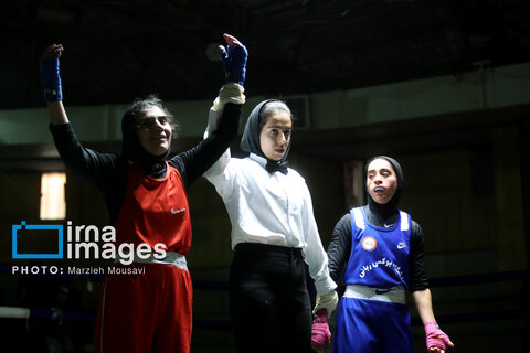 مسابقات بوکس دختران