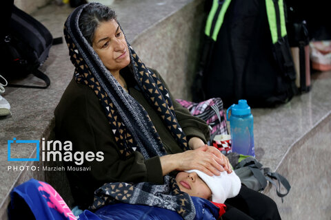 مسابقات بوکس دختران