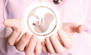 چتر حمایت بر سر زوجین نابارور چهار دهک پایین