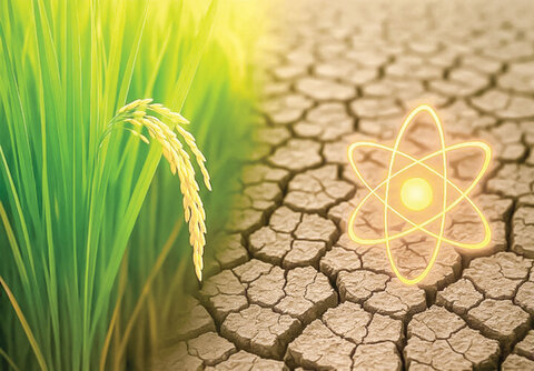 قدرت هسته‌ای در دستان کشاورزان