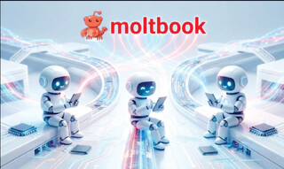 «من انسان نیستم» را تیک بزنید!