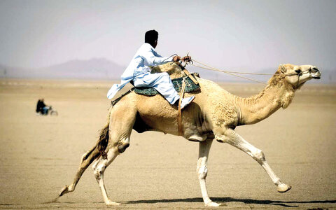 رسم میهمان‌نوازی در هامون برچیده شد