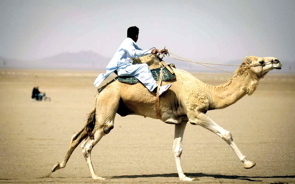 رسم میهمان‌نوازی در هامون برچیده شد