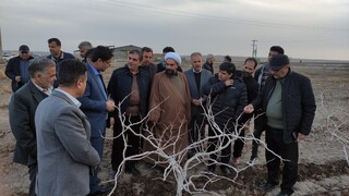 افتتاح چند طرح مرتبط با حوزه کشاورزی در روستای دیزباد سفلی