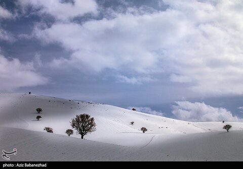 بارش برف در مناطق سردسیر خرم اباد