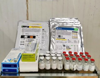 کشف محموله ۱۴ میلیاردی دارو و تجهیزات پزشکی قاچاق در مرزی تایباد