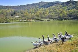 لنگرود در لایروبی آب‌بندان‌ها پیشتاز است