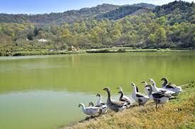 لنگرود در لایروبی آب‌بندان‌ها پیشتاز است