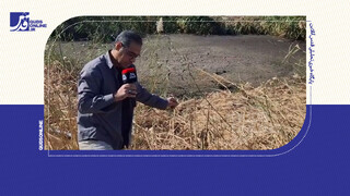 کارخانه‌های غذایی یا کارخانه تولید بیماری؟