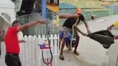 حضور مار در ورزشگاه جام جهانی!