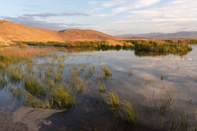 تلاش برای ارتقای جایگاه تالاب سولدوز نقده