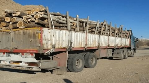 کشف ۳۰ تن چوب درختان جنگلی در داراب