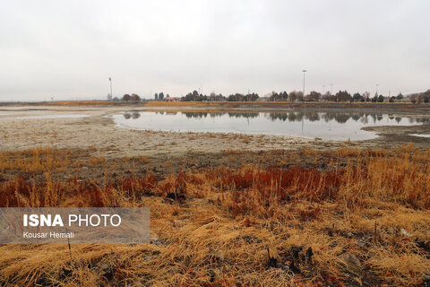 کم آبی «سراب نیلوفر» همچنان ادامه دارد