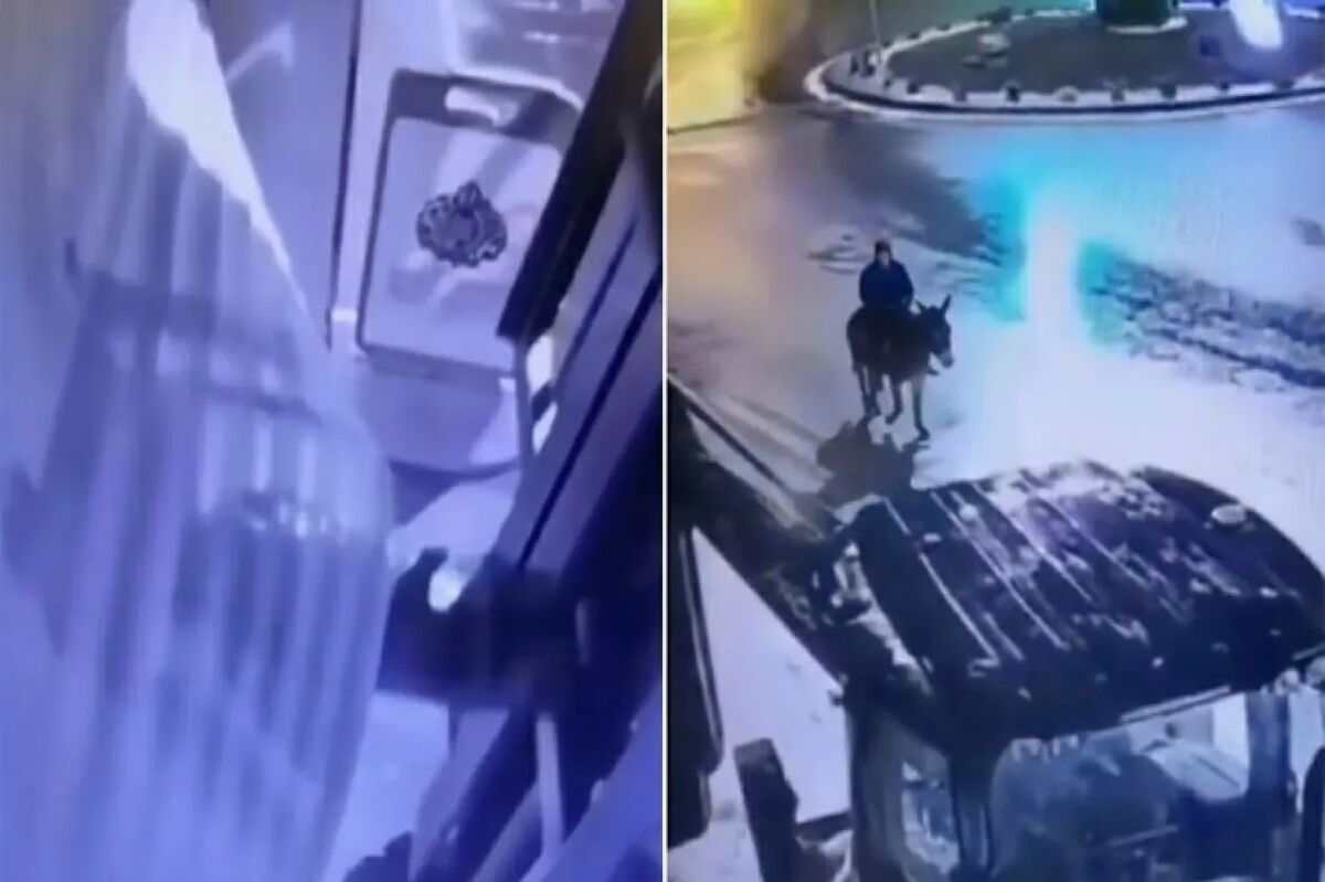 سرقت باورنکردنی از طلافروشی با الاغ!