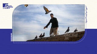 فیلم | کفتربازی جرم نیست!