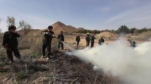 ضرب‌الاجل رئیس سازمان منابع طبیعی برای ساماندهی حفاظت از عرصه‌های ملی