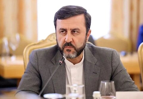 کاظم غریب‌آبادی: شورای حکام نباید محل سفیدشویی تجاوز نظامی شود