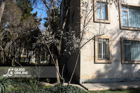 گزارش تصویری | بهار زودرس در زمستان