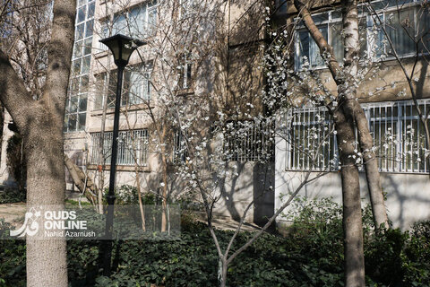 گزارش تصویری | بهار زودرس در زمستان