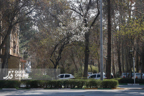 گزارش تصویری | بهار زودرس در زمستان