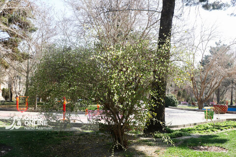 گزارش تصویری | بهار زودرس در زمستان