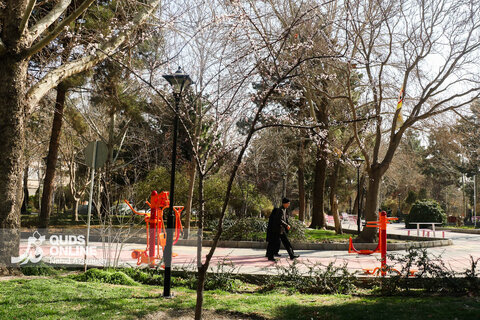 گزارش تصویری | بهار زودرس در زمستان