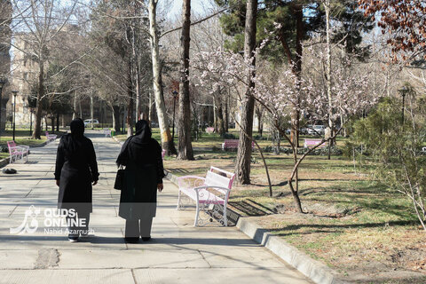 گزارش تصویری | بهار زودرس در زمستان